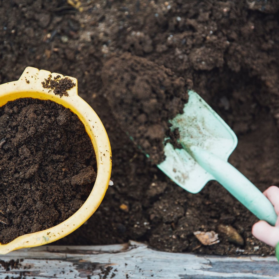 What Is The Difference Between Biodegradable & Compostable?