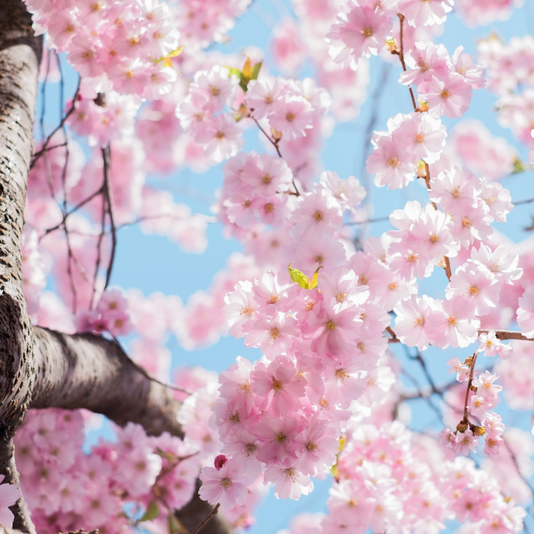 Eco-Friendly Essentials For Your Spring Shake Up