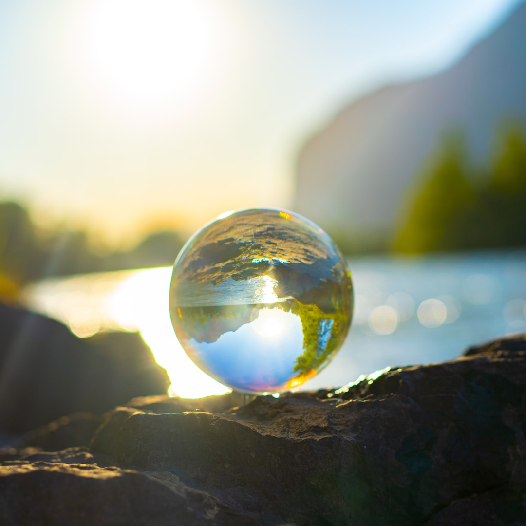 How To Be An Eco-Activist