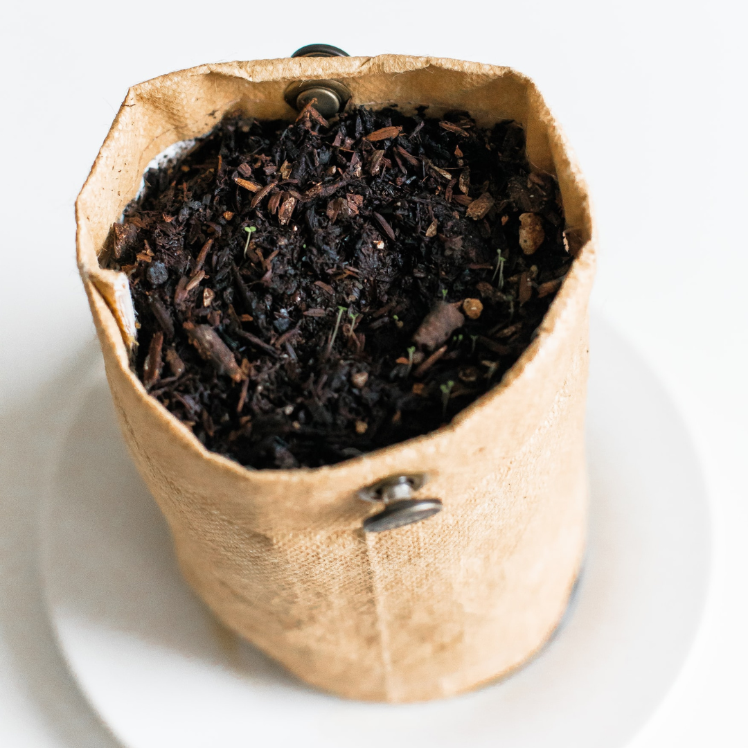 How To Make Compost