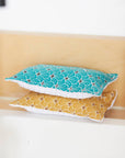 Reusable Bugs Kitchen Sponge