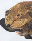 Beavers Animal Cotton Apron
