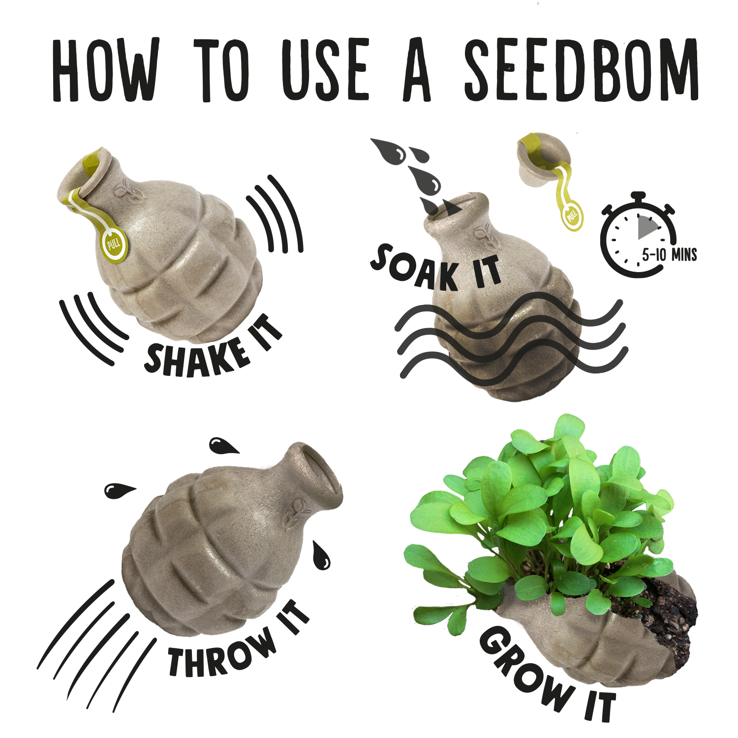 Wildflower Wonders Seedbom Gift Set