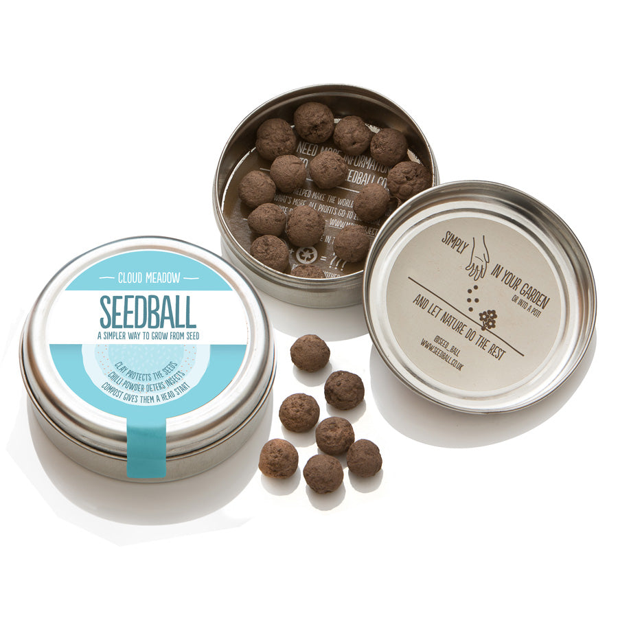 Cloud Meadow Mix Seedballs