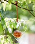 Burgon Ball Hanging Apple Feeder