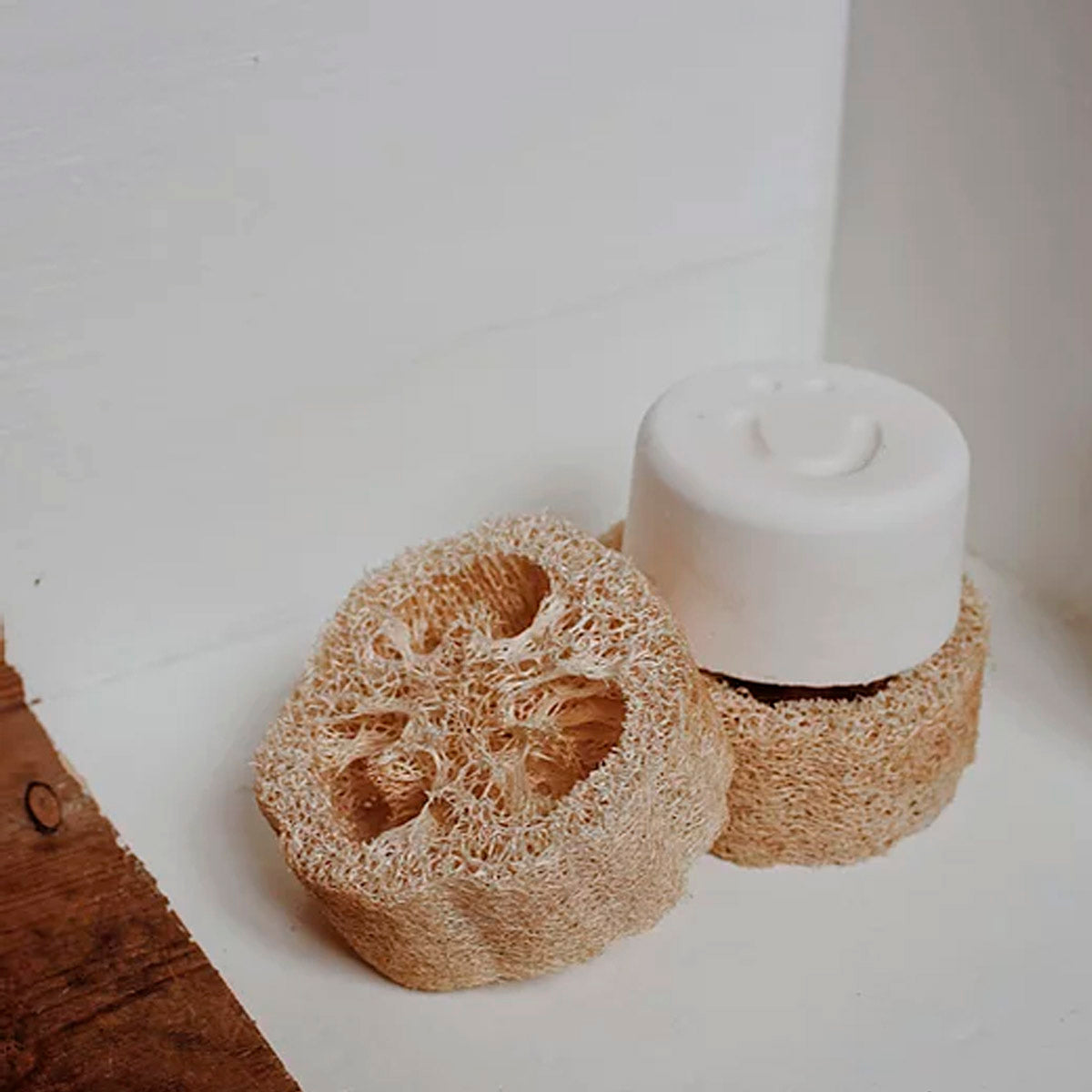 Loofah Soap Rest
