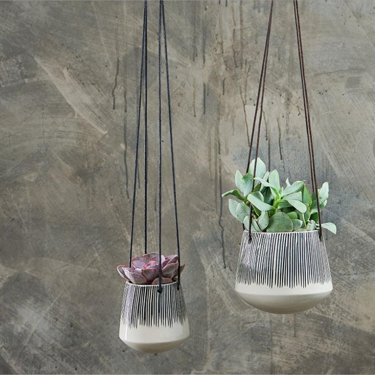 Matamba Hanging Lines Planter