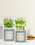 Just To Say Hello Greens & Greetings, Card and Seed Gift
