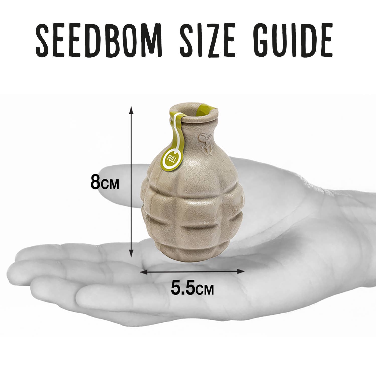 Wildflower Wonders Seedbom Gift Set
