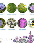 Seedball Wildflower Grab Bags - Garden Meadow Mix
