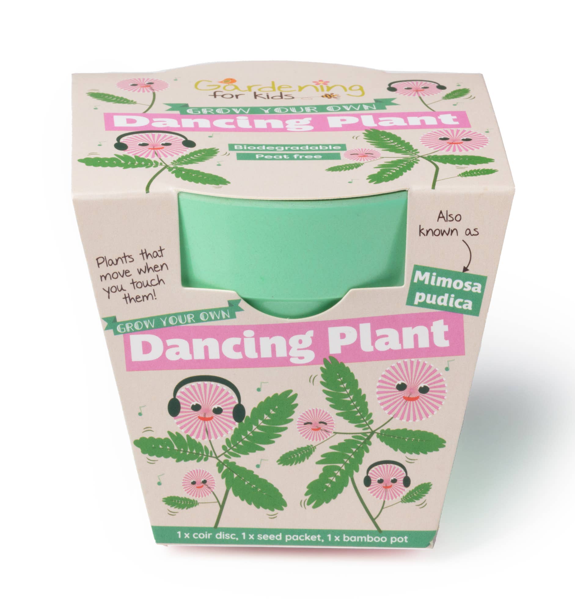 Grow Your Own Dancing Plant
