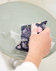 Reusable Bugs Kitchen Sponge