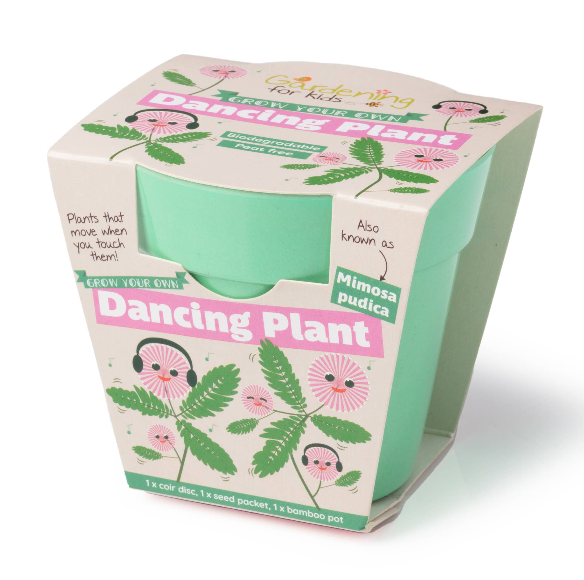 Grow Your Own Dancing Plant