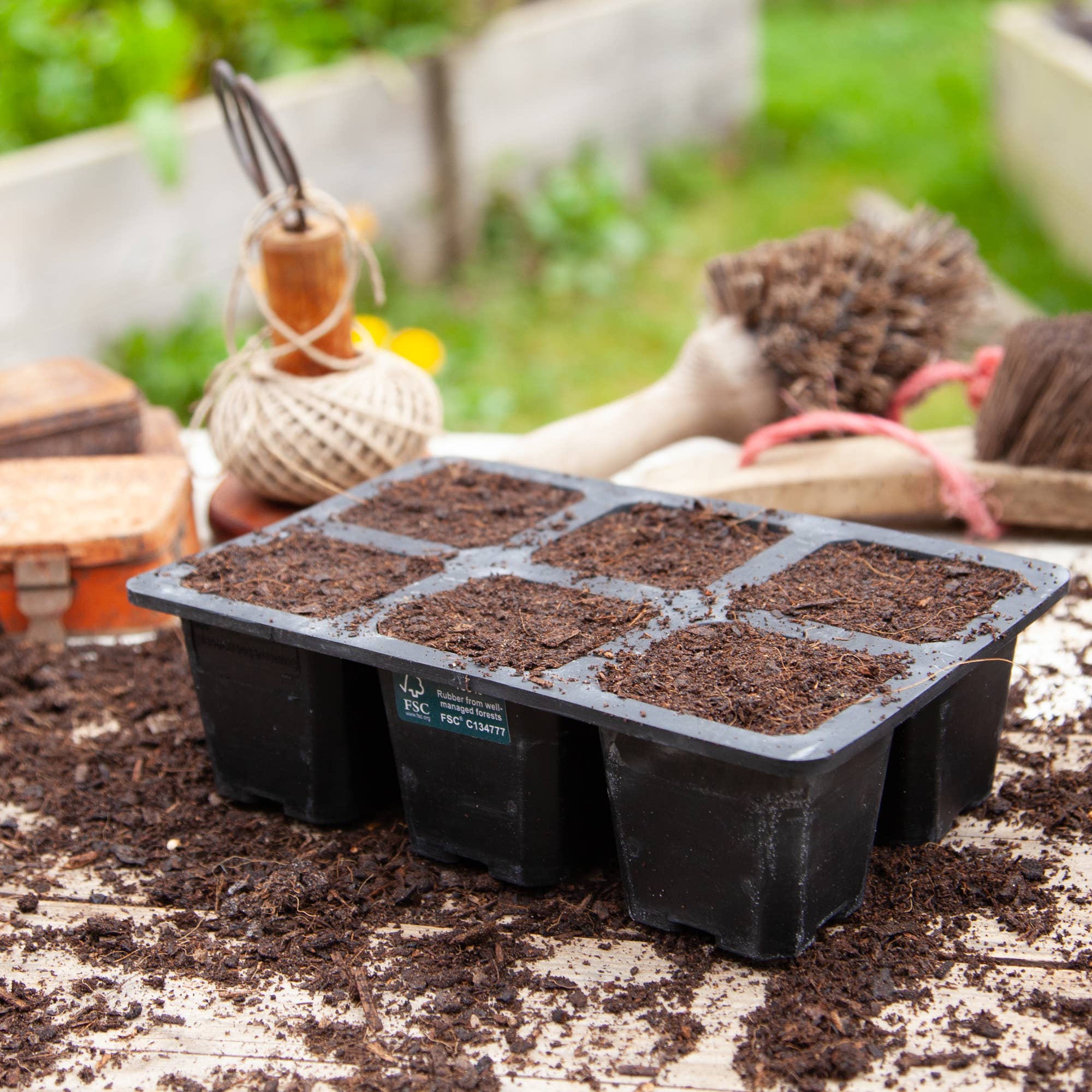6 Cell XL Natural Rubber Seed Tray