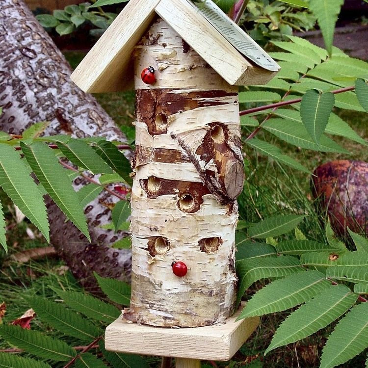 Ladybird Tower