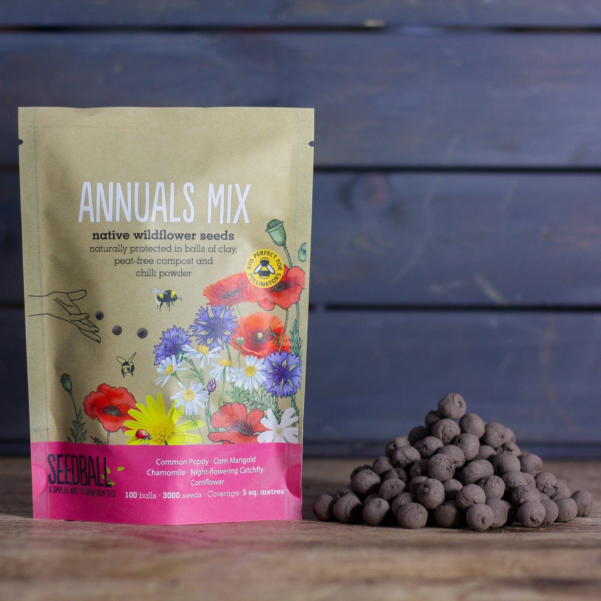 What Are Seedballs? How to Make Them &amp; Why They’re Great for the Environment