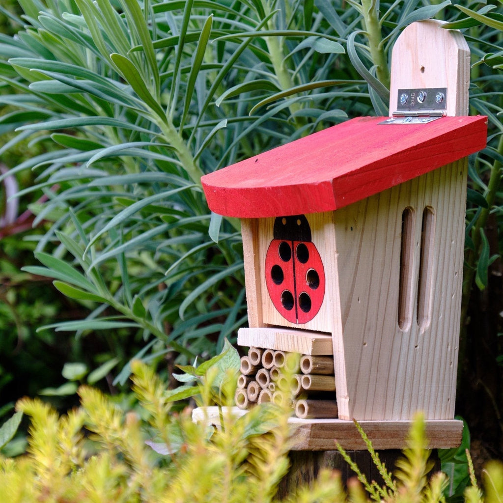 How to Create a Bug Hotel from Pallets & Build a Wildlife-Friendly ...