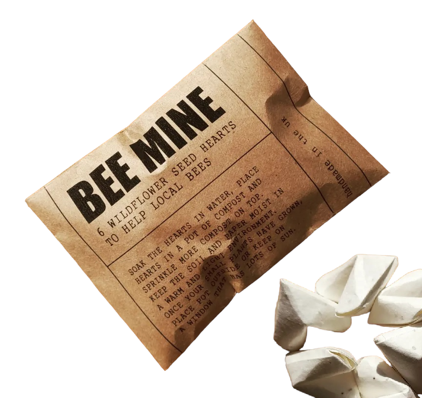 Wildflower seed origami heart &#39;bee mine&#39; envelope