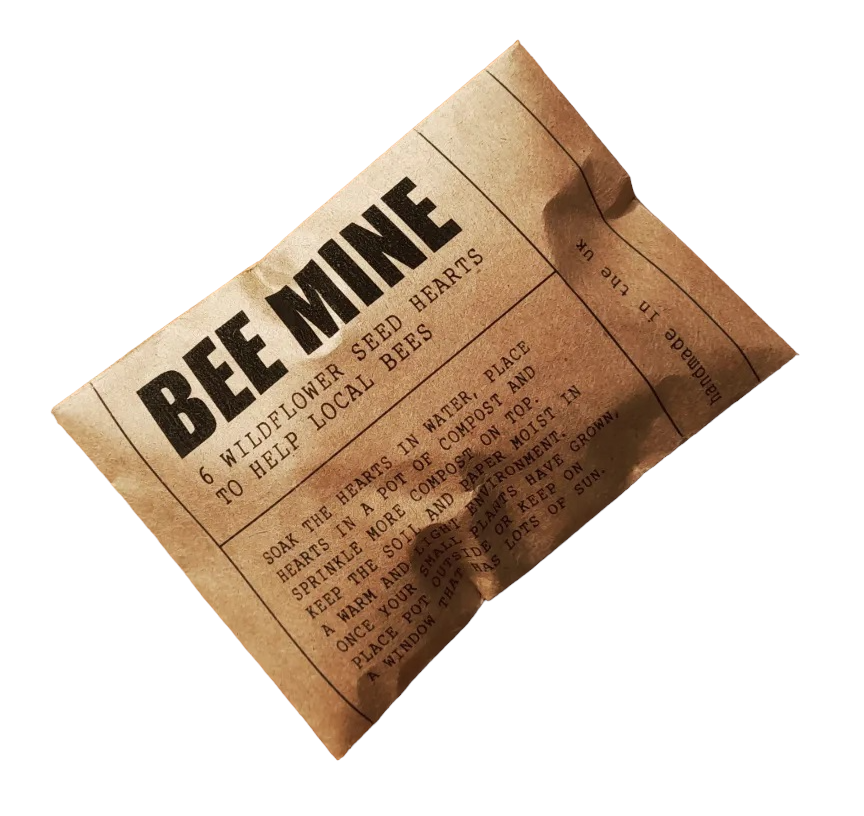 Wildflower seed origami heart &#39;bee mine&#39; envelope
