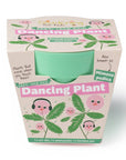 Grow Your Own Dancing Plant
