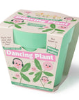 Grow Your Own Dancing Plant