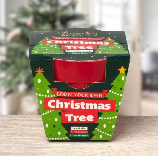 Christmas Tree Growing Kit with Pot