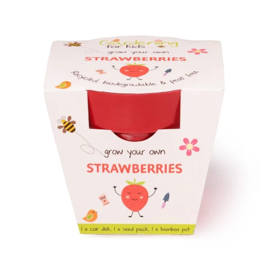 Strawberries Growing Kit with Pot